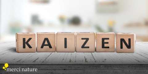 Le Kaizen : l’art de changer de vie sans efforts !